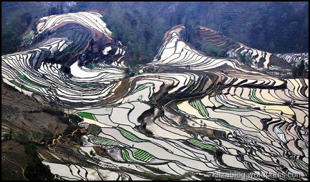مصاطب الأرز في Yuangyang ، تبدو وكأنها أعمال فنية